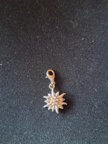 Thomas sabo charm anhänger - thomas,